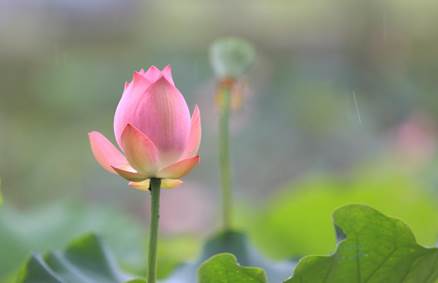 说明: 7L6A9564